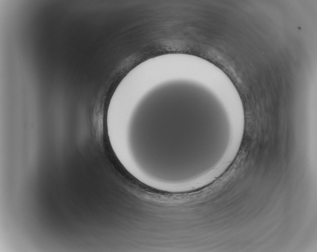 X0000102530019200809051519