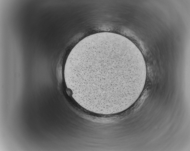 X0000102530020200809051519