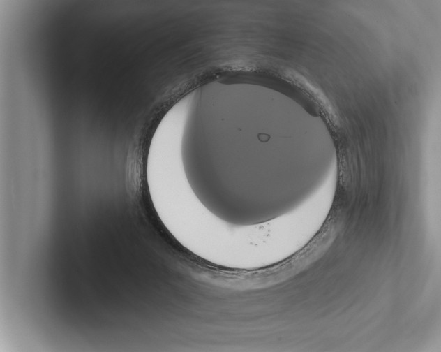 X0000102530023200809051519