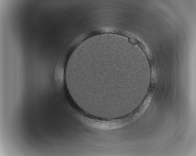 X0000102530024200809051519