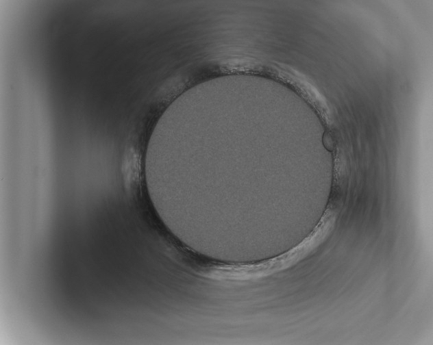 X0000102530025200809051519
