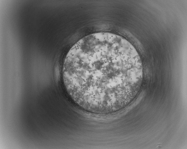 X0000102530026200809051519