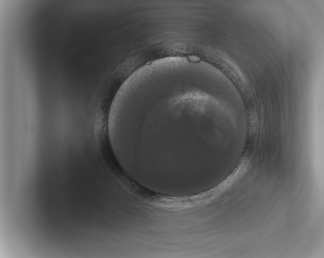 X0000102530029200809051519