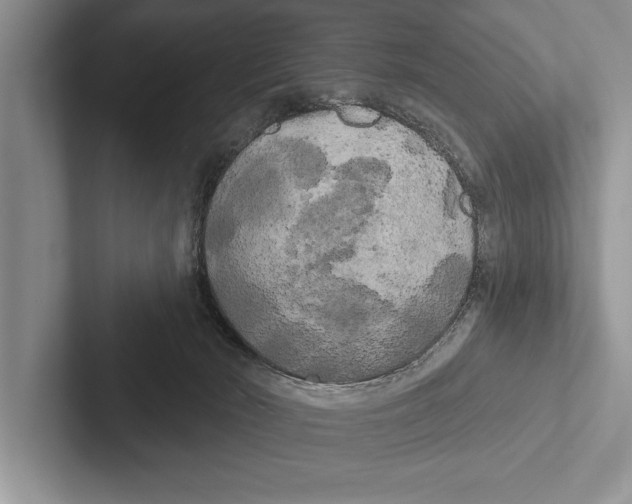 X0000102530030200809051519