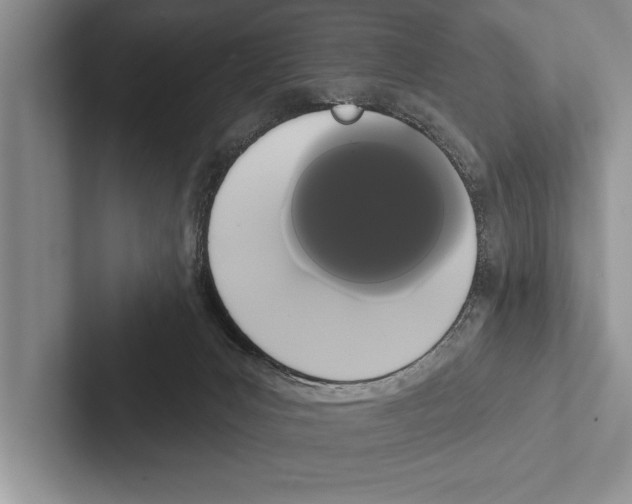 X0000102530031200809051519