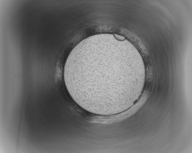 X0000102530033200809051519