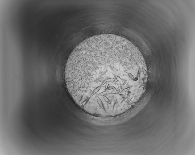 X0000102530034200809051519