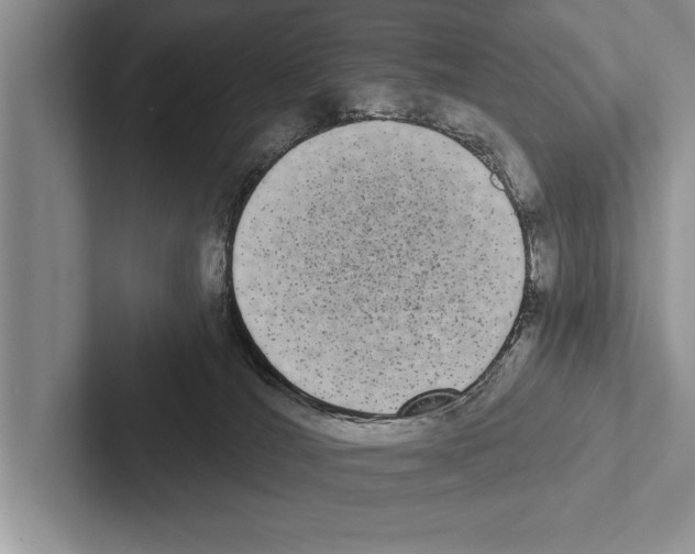 X0000102530036200809051519