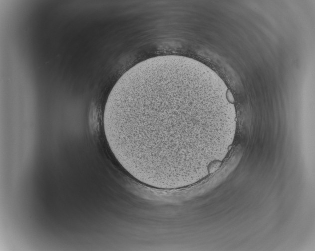 X0000102530038200809051519