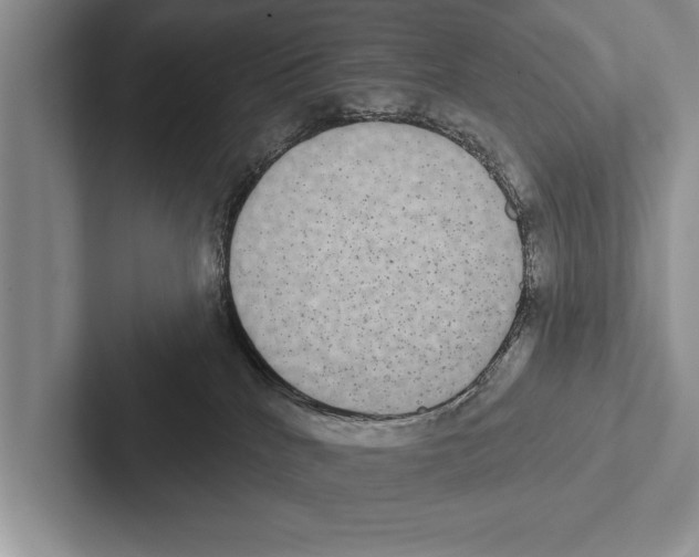 X0000102530040200809051519