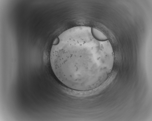 X0000102530043200809051519