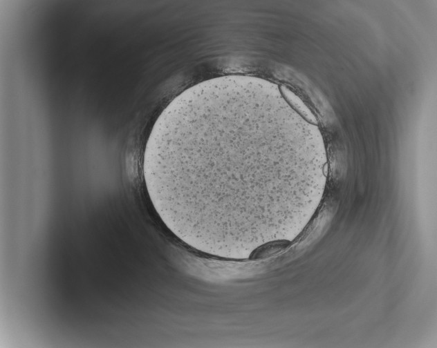X0000102530044200809051519