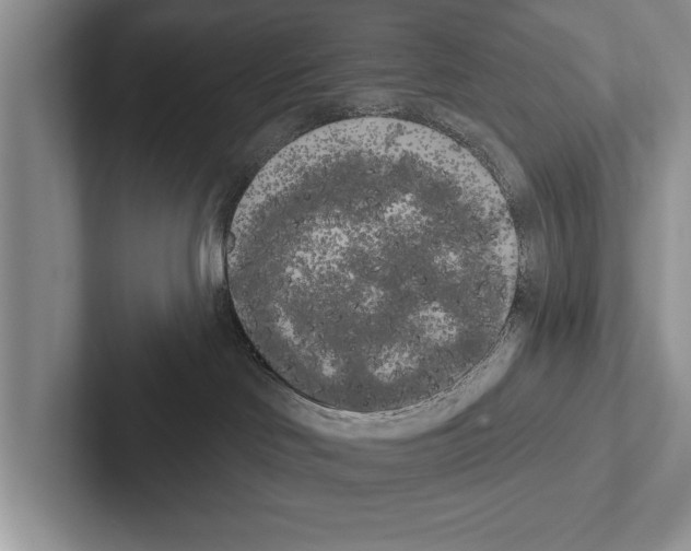 X0000102530046200809051519
