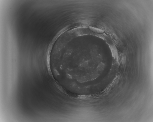 X0000102530051200809051518