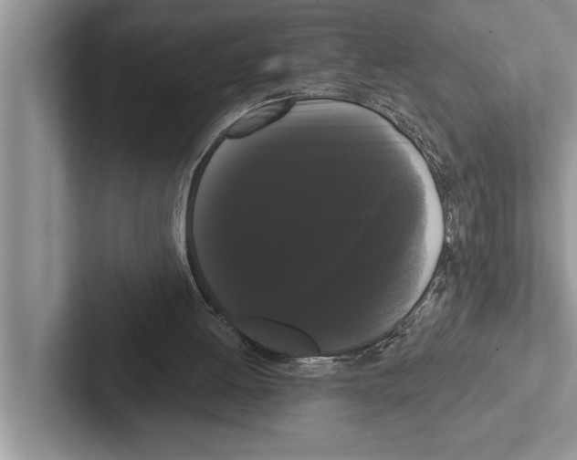 X0000102530052200809051518