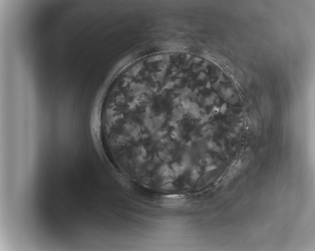 X0000102530053200809051518