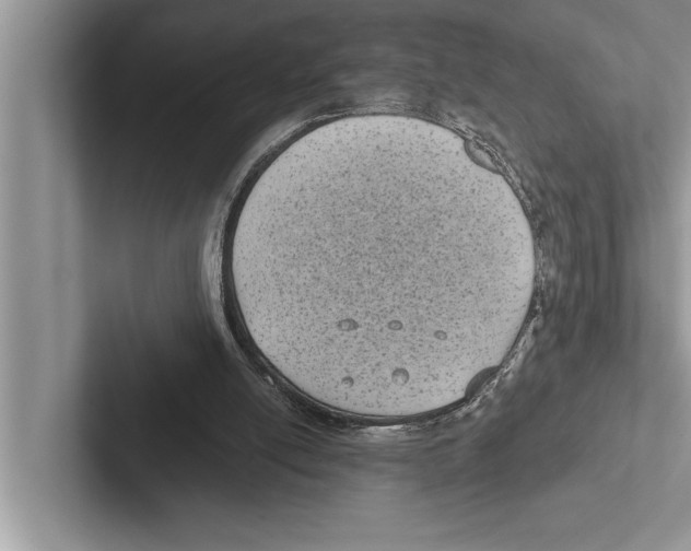 X0000102530054200809051518