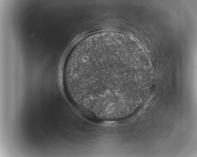 X0000102530055200809051518