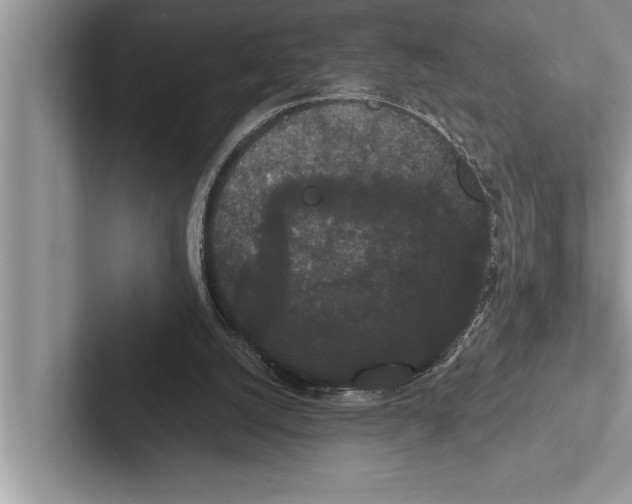 X0000102530056200809051518