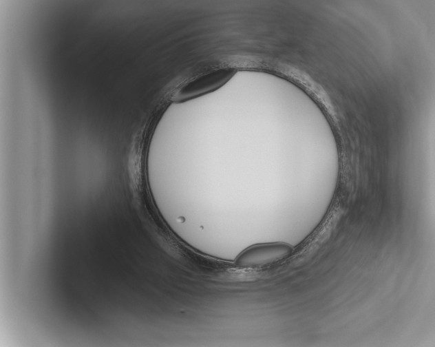 X0000102530057200809051518