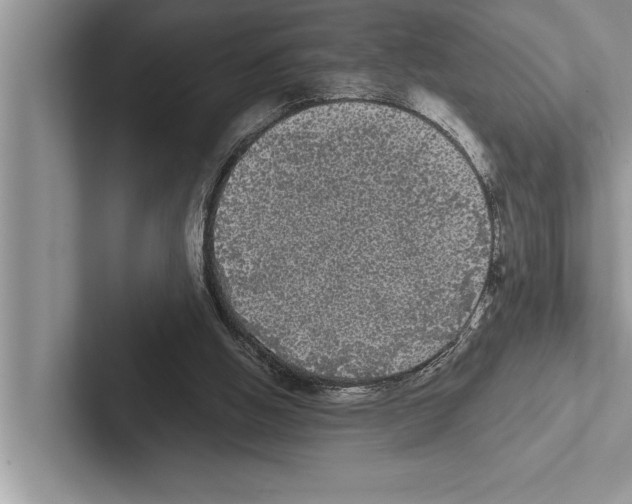 X0000102530058200809051518