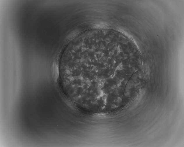 X0000102530061200809051518