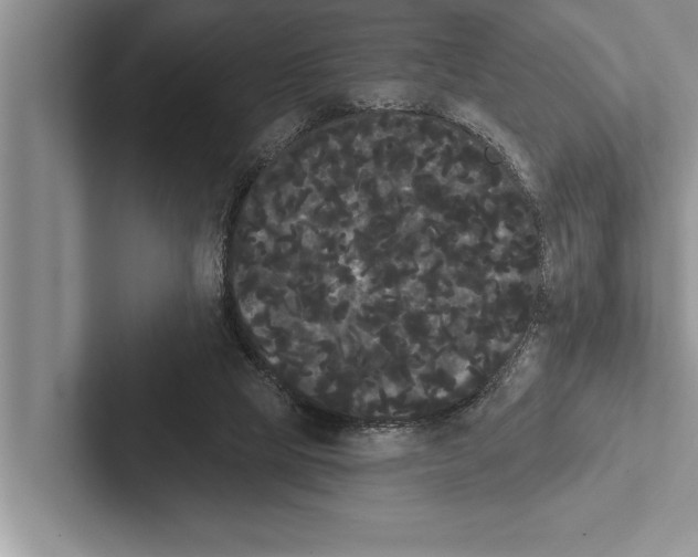X0000102530065200809051518