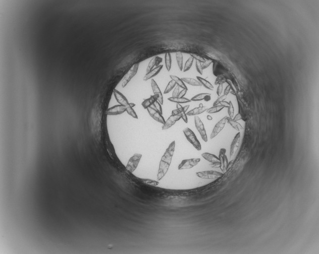 X0000102530066200809051518