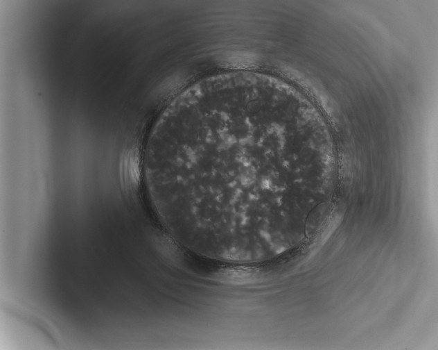 X0000102530069200809051518