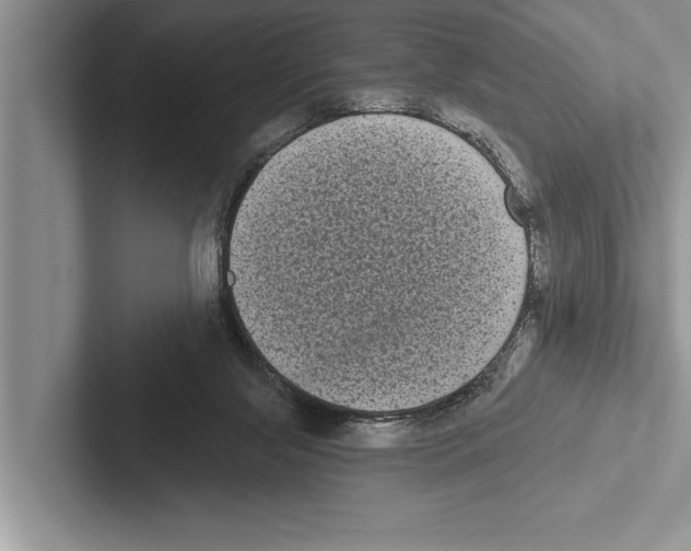 X0000102530071200809051518