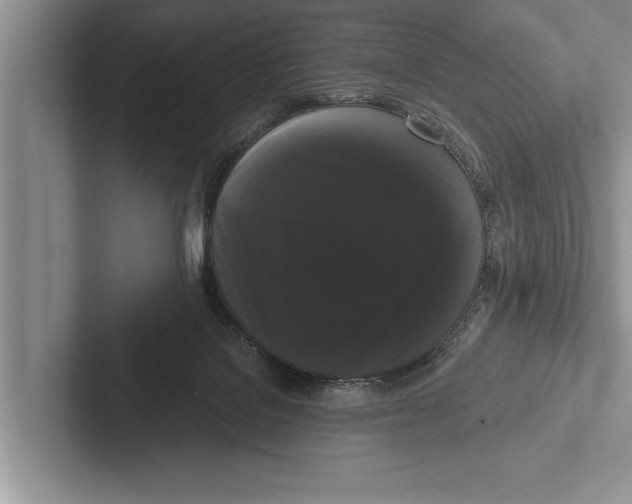 X0000102530076200809051518