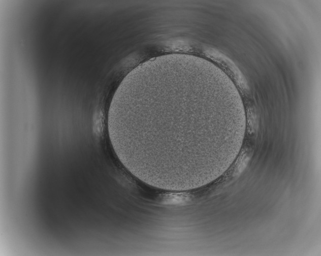 X0000102530077200809051518