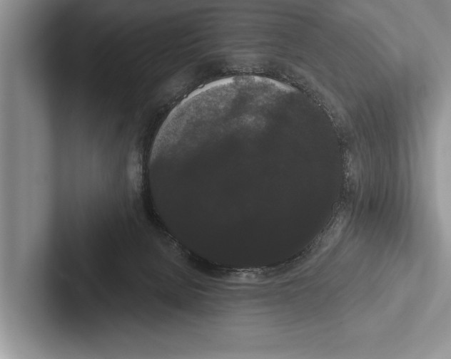 X0000102530080200809051518