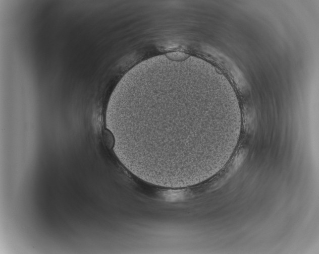X0000102530085200809051518