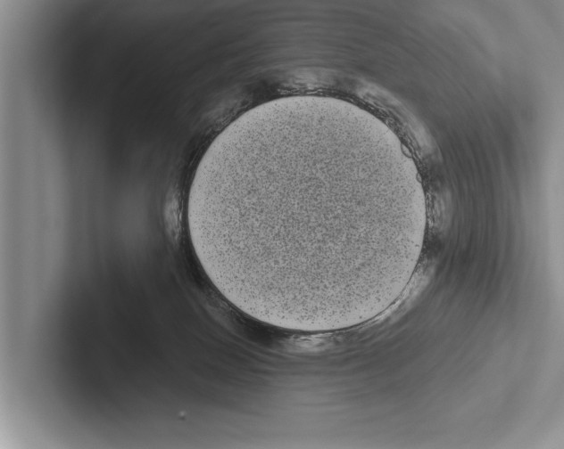 X0000102530086200809051518