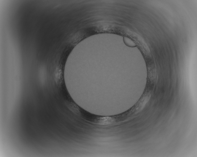 X0000102530087200809051518
