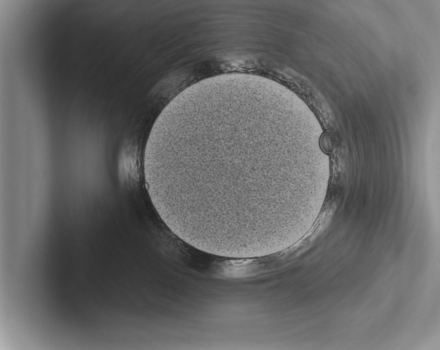 X0000102530090200809051518