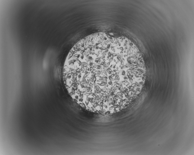 X0000102530093200809051518