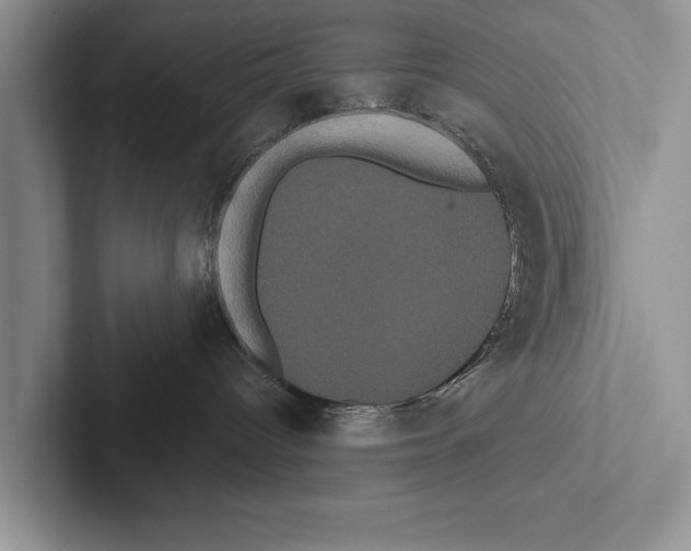 X0000102530096200809051518