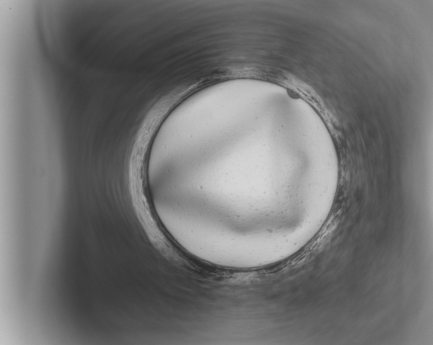 X0000102530097200809051518