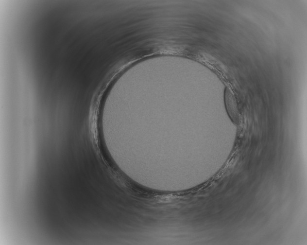 X0000102530098200809051518