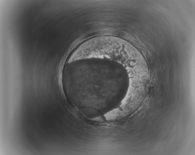 X0000102530099200809051518