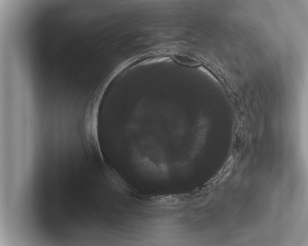 X0000102530100200809051518