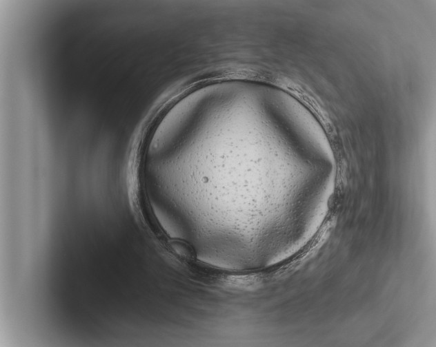 X0000102530101200809051518