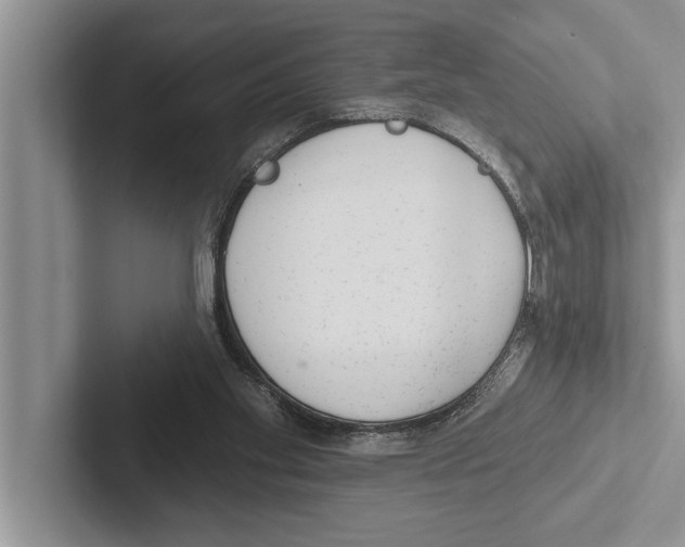 X0000102530109200809051518