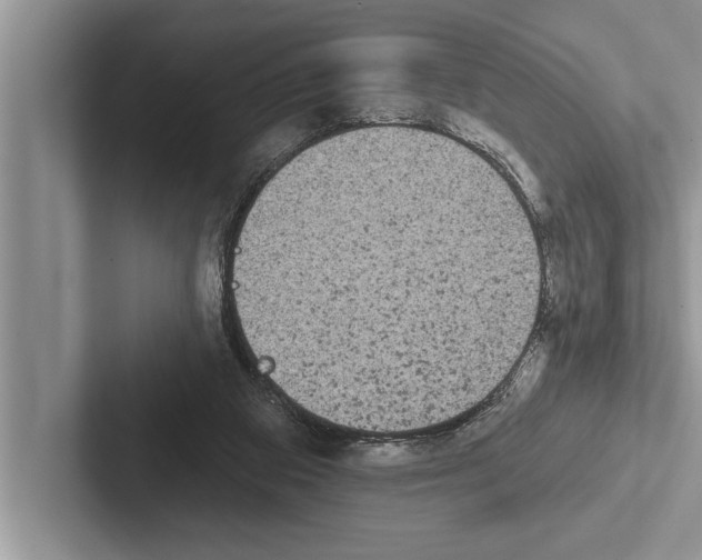 X0000102530113200809051517