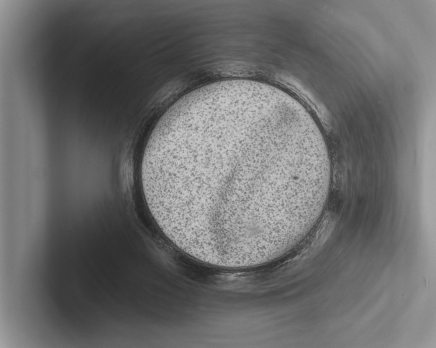 X0000102530117200809051517