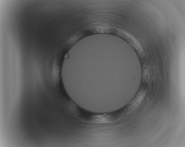 X0000102530121200809051517