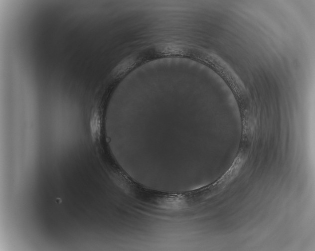 X0000102530124200809051517