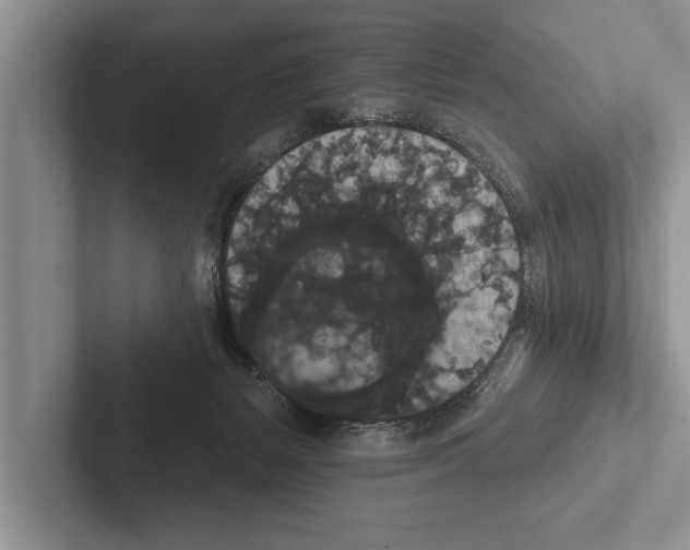 X0000102530127200809051517